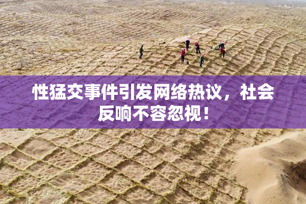 性猛交事件引发网络热议，社会反响不容忽视！