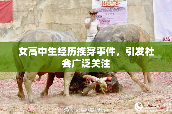 女高中生经历挨穿事件，引发社会广泛关注