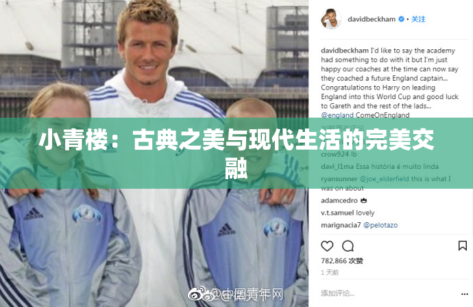 小青楼：古典之美与现代生活的完美交融
