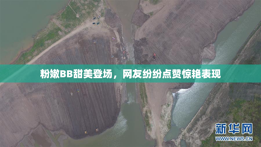 粉嫩BB甜美登场，网友纷纷点赞惊艳表现