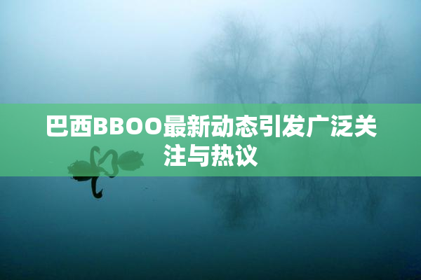 巴西BBOO最新动态引发广泛关注与热议