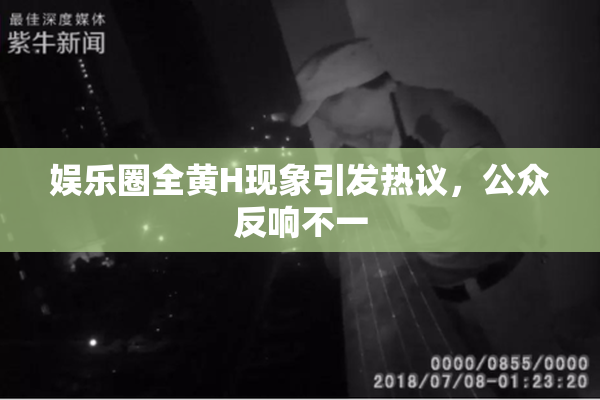 娱乐圈全黄H现象引发热议，公众反响不一