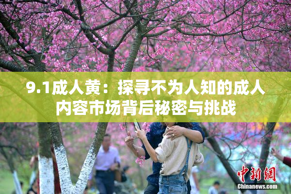 9.1成人黄：探寻不为人知的成人内容市场背后秘密与挑战