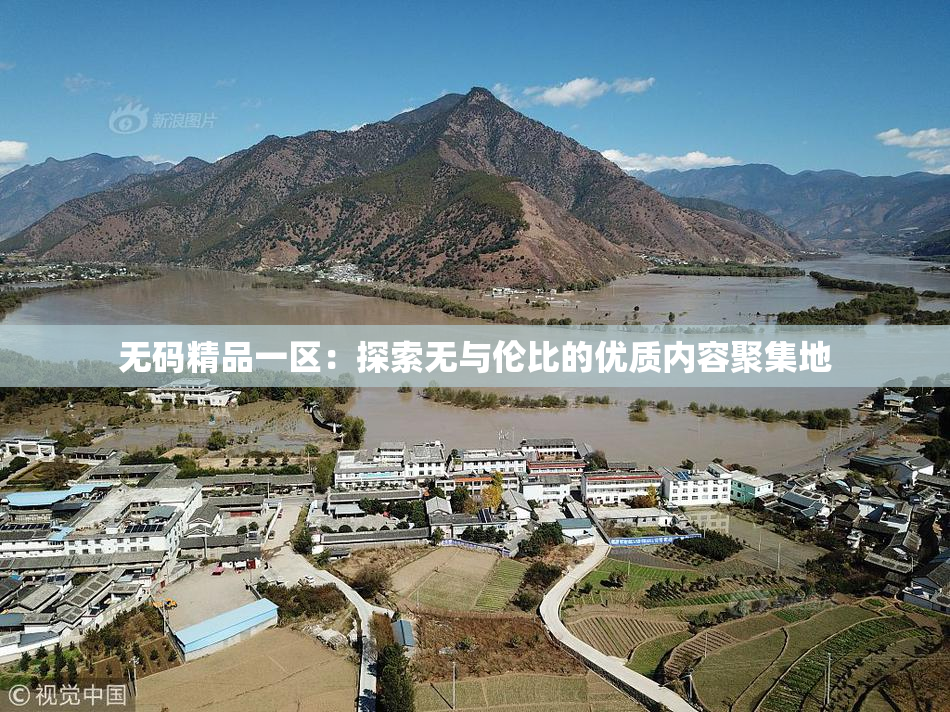 无码精品一区：探索无与伦比的优质内容聚集地