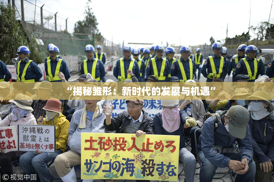 “揭秘雏形：新时代的发展与机遇”