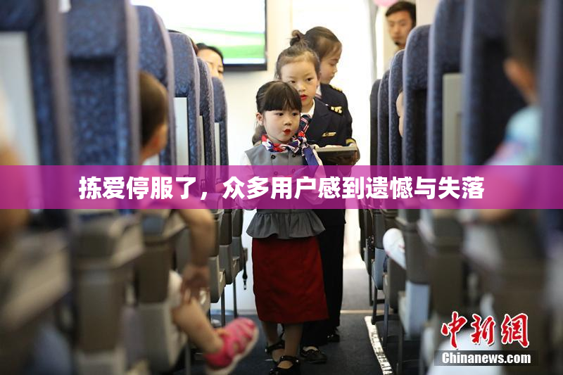 拣爱停服了，众多用户感到遗憾与失落