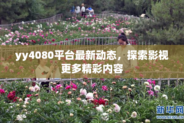 yy4080平台最新动态，探索影视更多精彩内容