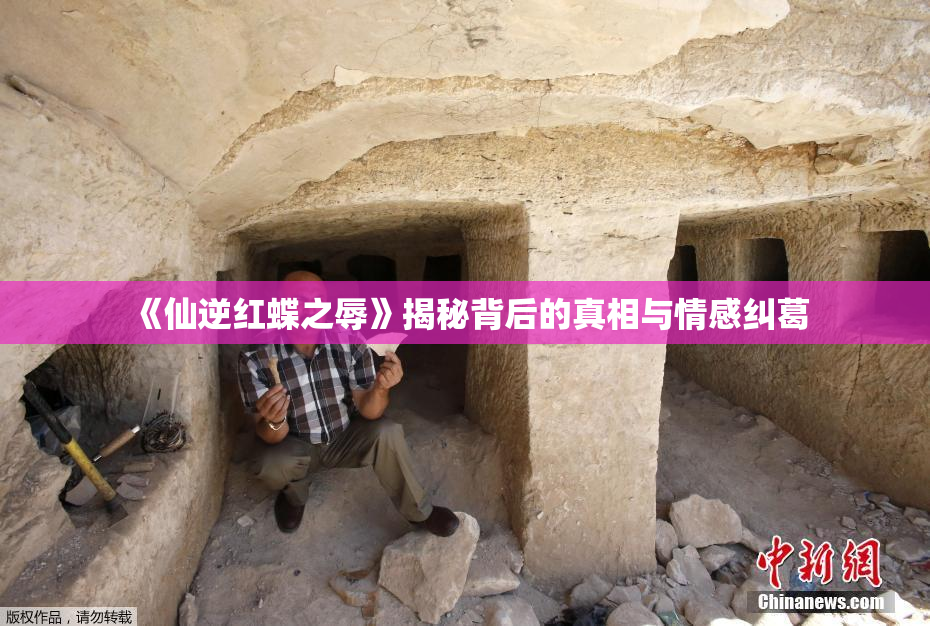 《仙逆红蝶之辱》揭秘背后的真相与情感纠葛