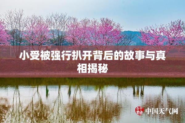 小受被强行扒开背后的故事与真相揭秘