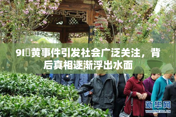 9I婬黄事件引发社会广泛关注，背后真相逐渐浮出水面
