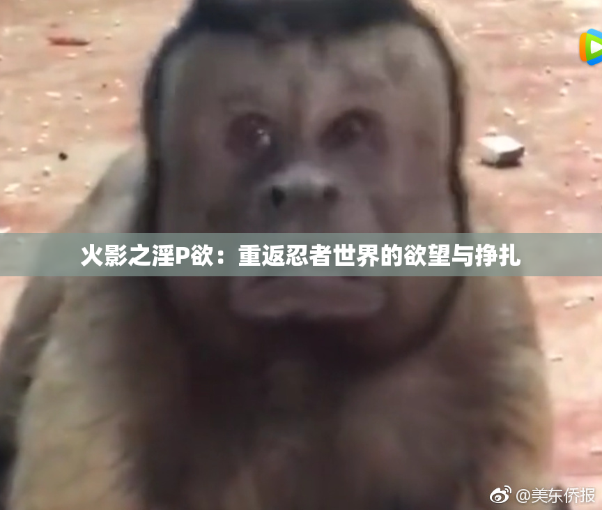 火影之淫P欲：重返忍者世界的欲望与挣扎