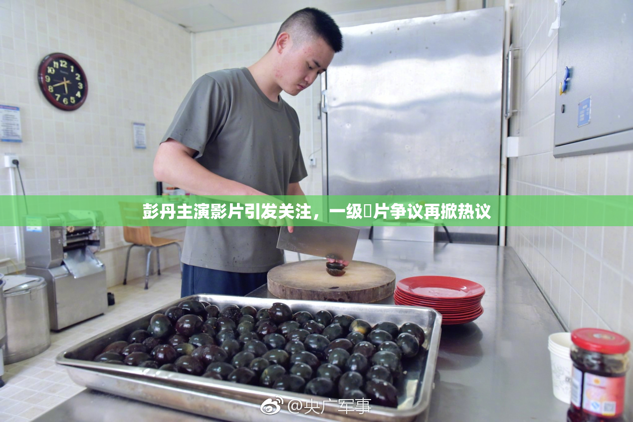 彭丹主演影片引发关注，一级婬片争议再掀热议
