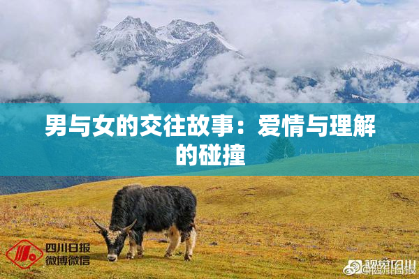 男与女的交往故事：爱情与理解的碰撞