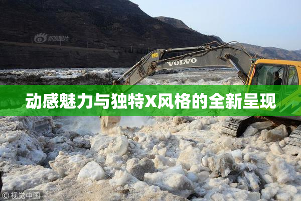 动感魅力与独特X风格的全新呈现