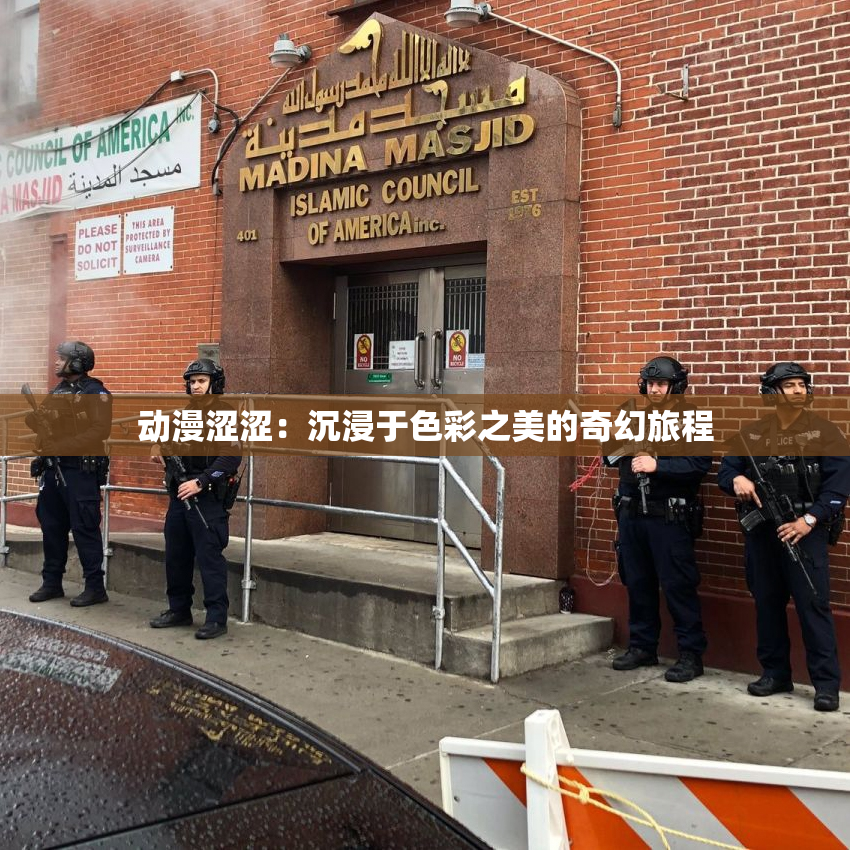 动漫涩涩：沉浸于色彩之美的奇幻旅程
