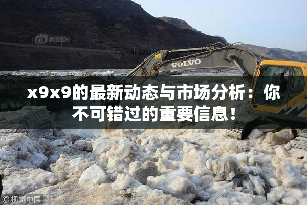 x9x9的最新动态与市场分析：你不可错过的重要信息！
