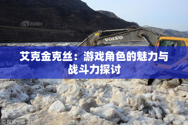 艾克金克丝：游戏角色的魅力与战斗力探讨
