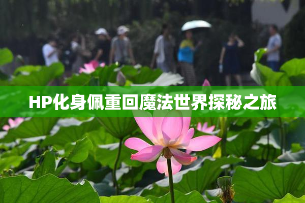 HP化身佩重回魔法世界探秘之旅