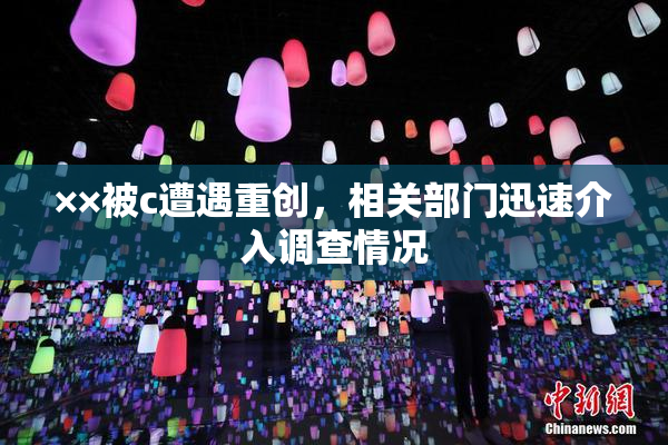 ××被c遭遇重创，相关部门迅速介入调查情况