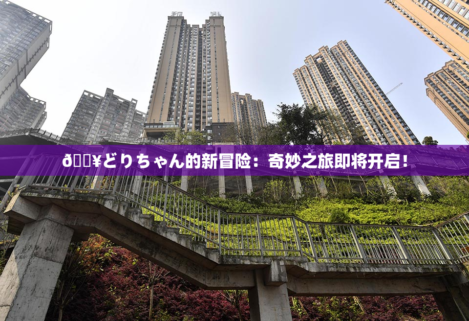 🔥どりちゃん的新冒险：奇妙之旅即将开启！