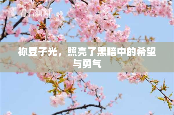 祢豆子光，照亮了黑暗中的希望与勇气