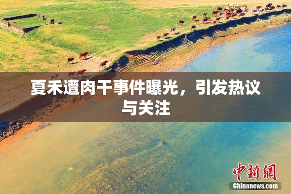 夏禾遭肉干事件曝光，引发热议与关注