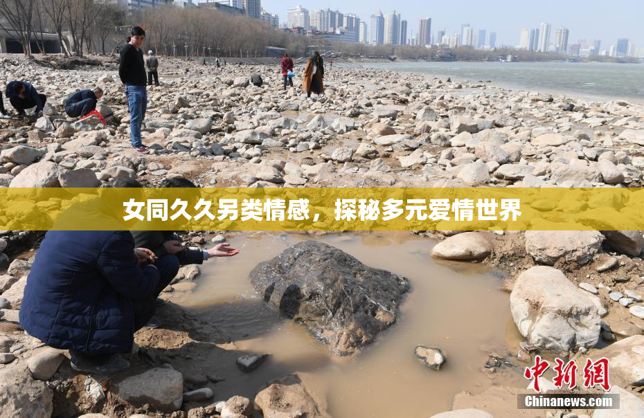 女同久久另类情感，探秘多元爱情世界