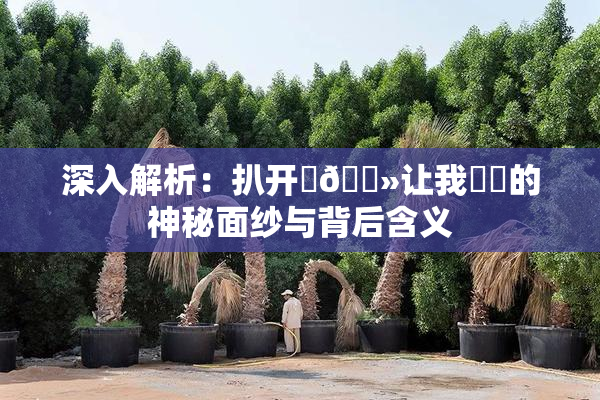 深入解析：扒开‌🐻让我❌‌的神秘面纱与背后含义