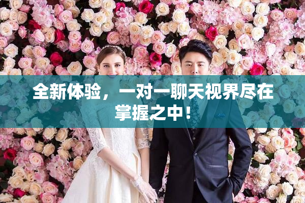 全新体验，一对一聊天视界尽在掌握之中！