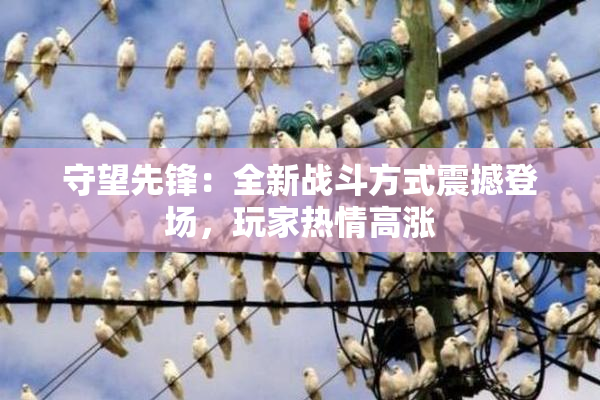 守望先锋：全新战斗方式震撼登场，玩家热情高涨