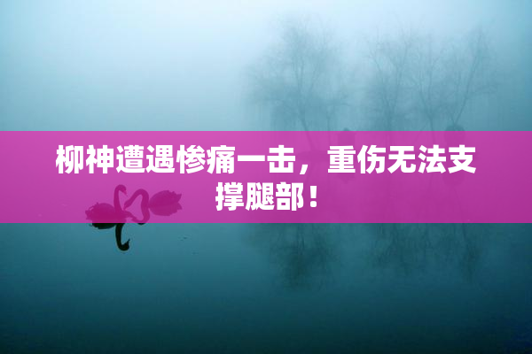 柳神遭遇惨痛一击，重伤无法支撑腿部！