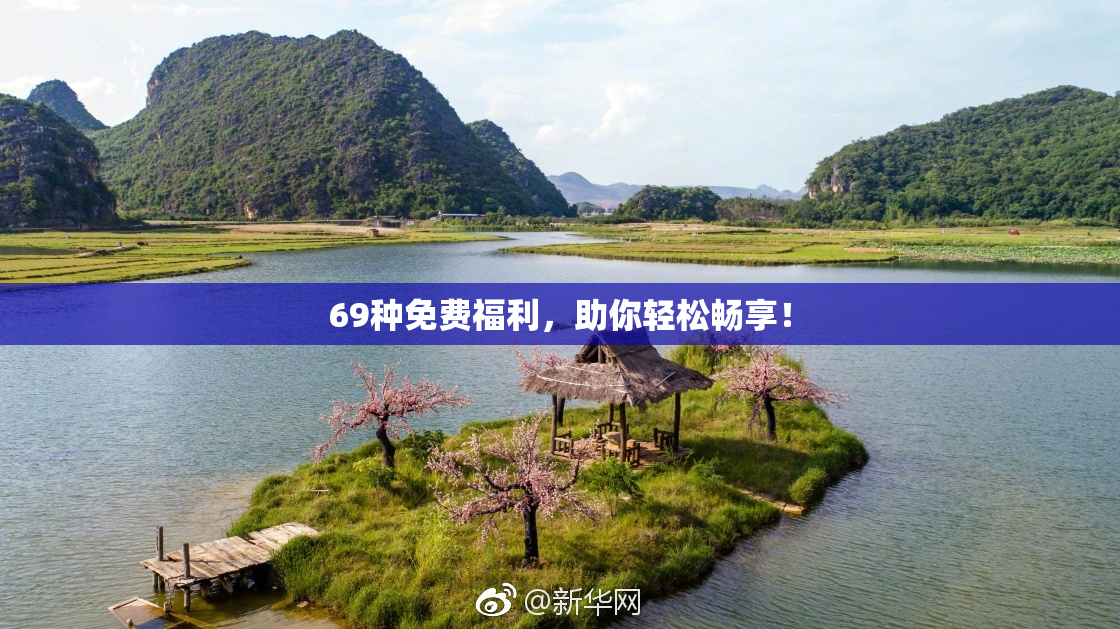 69种免费福利，助你轻松畅享！