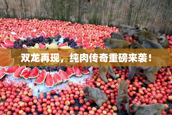 双龙再现，纯肉传奇重磅来袭！
