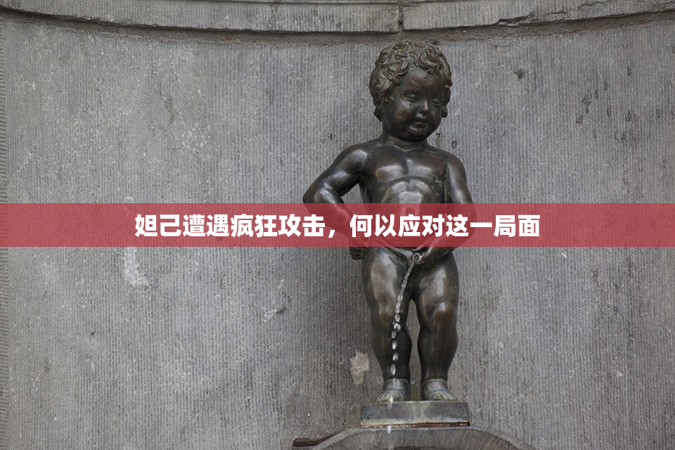 妲己遭遇疯狂攻击，何以应对这一局面