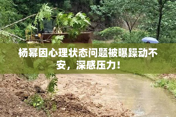 杨幂因心理状态问题被曝躁动不安，深感压力！