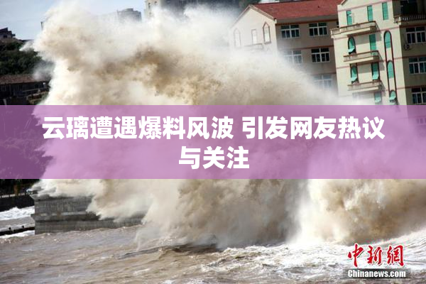 云璃遭遇爆料风波 引发网友热议与关注