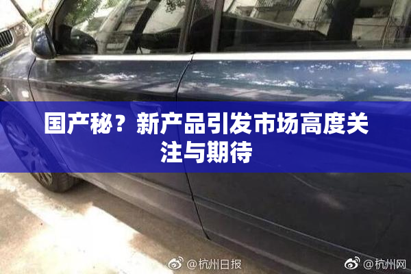 国产秘？新产品引发市场高度关注与期待
