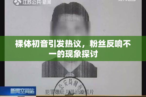 裸体初音引发热议，粉丝反响不一的现象探讨