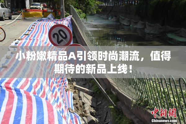 小粉嫩精品A引领时尚潮流，值得期待的新品上线！
