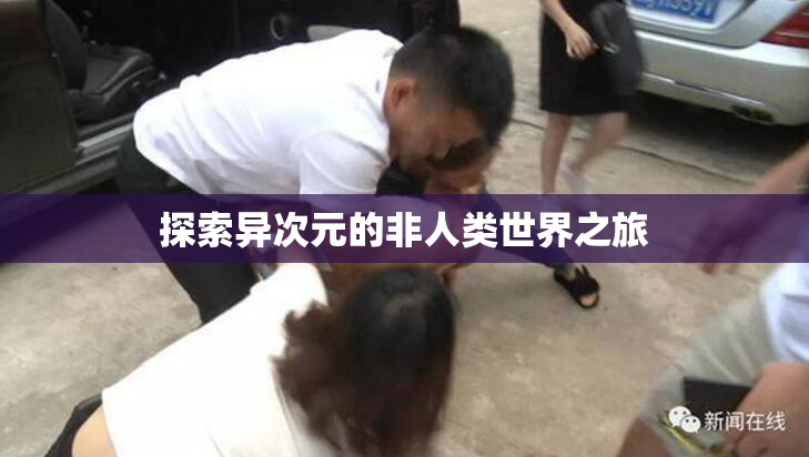 探索异次元的非人类世界之旅