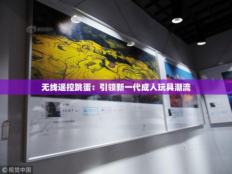 无线遥控跳蛋：引领新一代成人玩具潮流