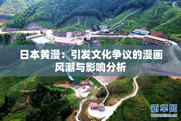 日本黄漫：引发文化争议的漫画风潮与影响分析