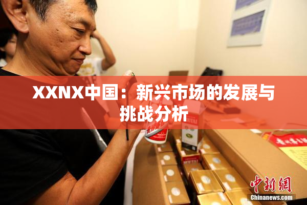 XXNX中国：新兴市场的发展与挑战分析