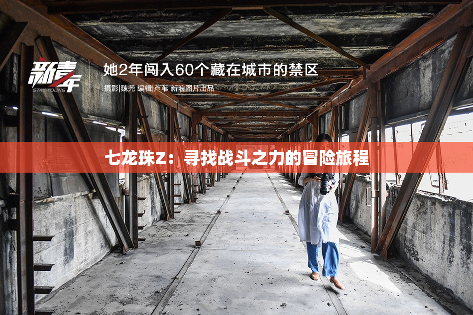 七龙珠Z：寻找战斗之力的冒险旅程