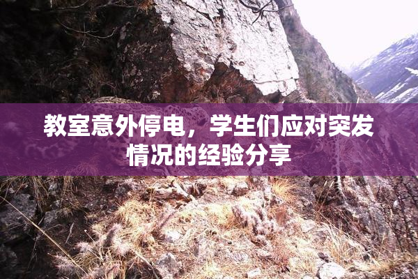 教室意外停电，学生们应对突发情况的经验分享