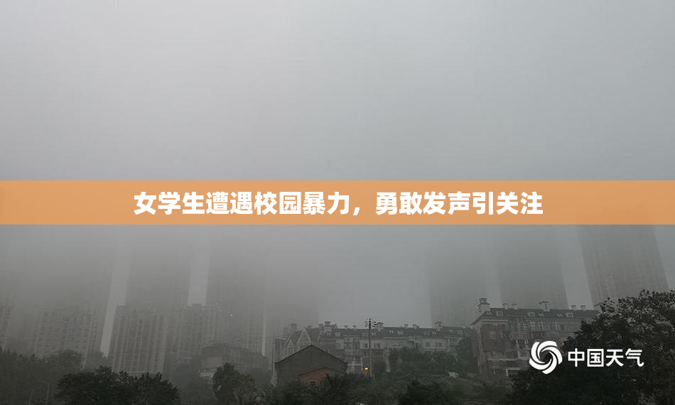 女学生遭遇校园暴力，勇敢发声引关注