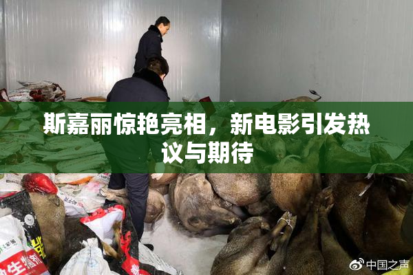 斯嘉丽惊艳亮相，新电影引发热议与期待