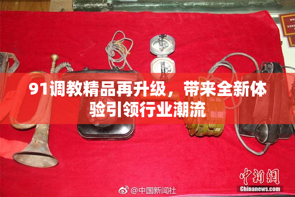 91调教精品再升级，带来全新体验引领行业潮流