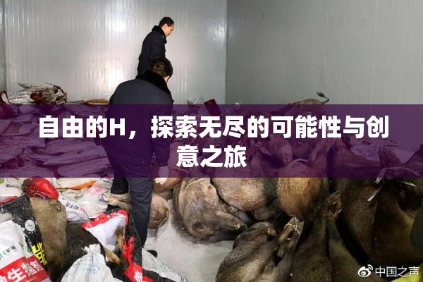自由的H，探索无尽的可能性与创意之旅