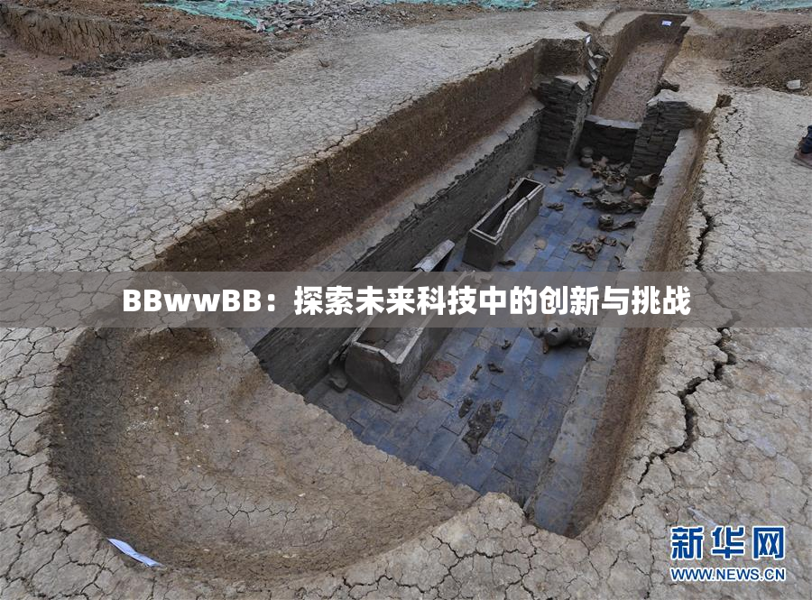 BBwwBB：探索未来科技中的创新与挑战